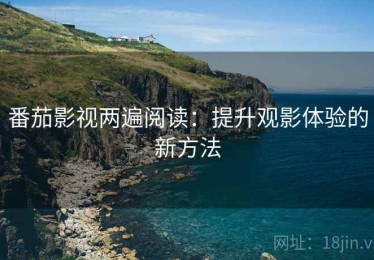 番茄影视两遍阅读：提升观影体验的新方法