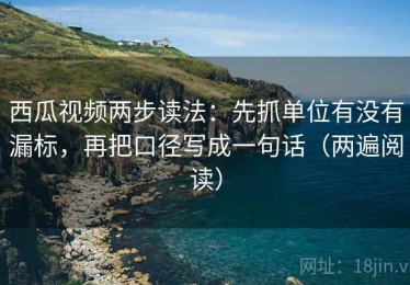 西瓜视频两步读法：先抓单位有没有漏标，再把口径写成一句话（两遍阅读）