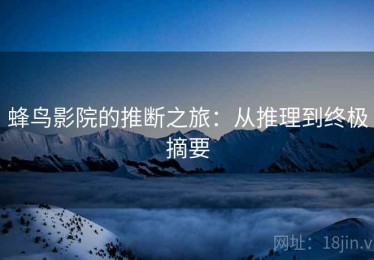 蜂鸟影院的推断之旅：从推理到终极摘要