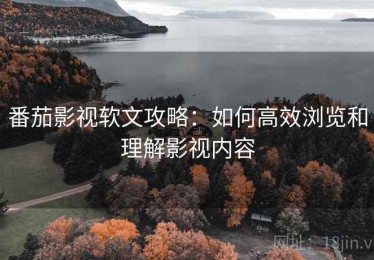 番茄影视软文攻略：如何高效浏览和理解影视内容