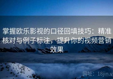 掌握欧乐影视的口径回填技巧：精准核对与例子标注，提升你的视频营销效果