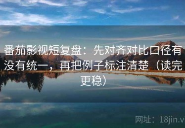 番茄影视短复盘：先对齐对比口径有没有统一，再把例子标注清楚（读完更稳）