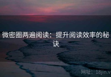 微密圈两遍阅读：提升阅读效率的秘诀
