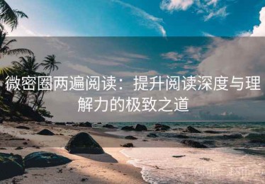 微密圈两遍阅读：提升阅读深度与理解力的极致之道