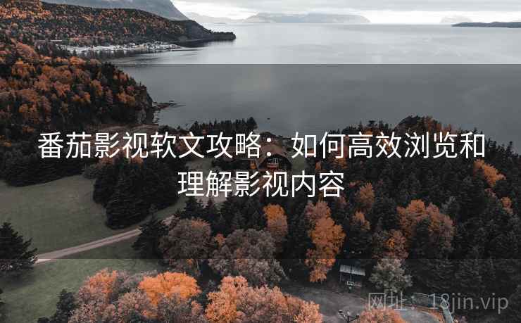 番茄影视软文攻略：如何高效浏览和理解影视内容